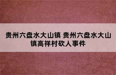 贵州六盘水大山镇 贵州六盘水大山镇高祥村砍人事件